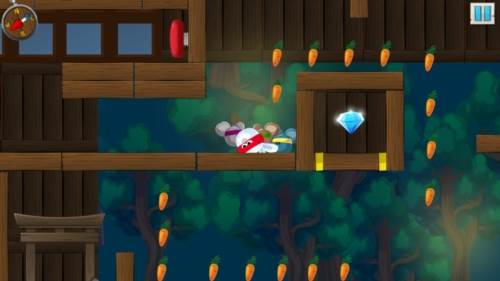 兔子武士2