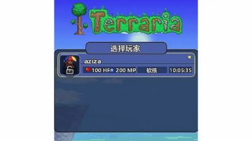 泰拉瑞亚刷物品方法4