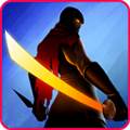 忍者之雷复仇 Ninja Raiden Revenge