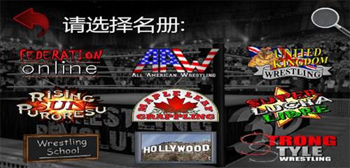 摔跤革命3d无限属性点版图片7
