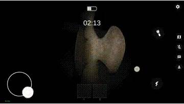 鬼魂恐怖生存国际服游戏截图13