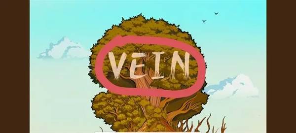 vein游戏攻略4