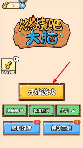 燃烧吧大脑游戏截图14