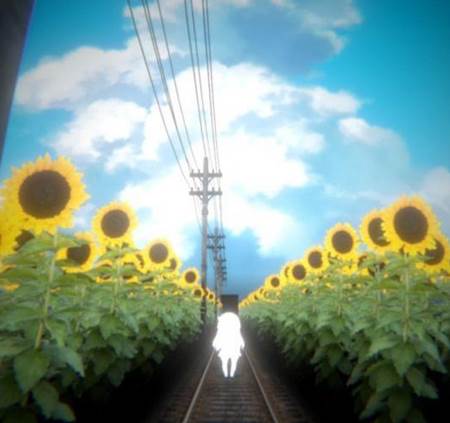 LastSummer推荐理由