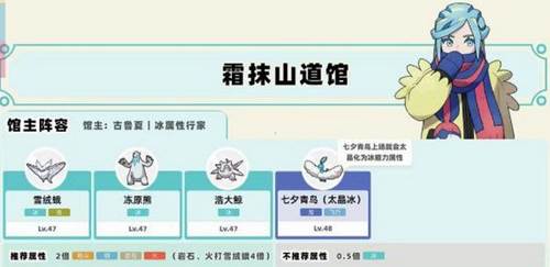 精灵宝可梦朱紫13