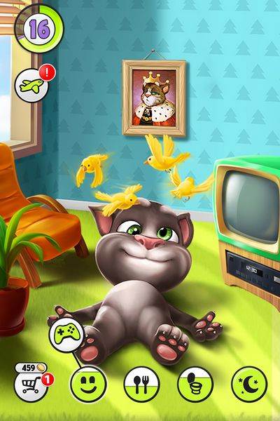 我的汤姆猫1