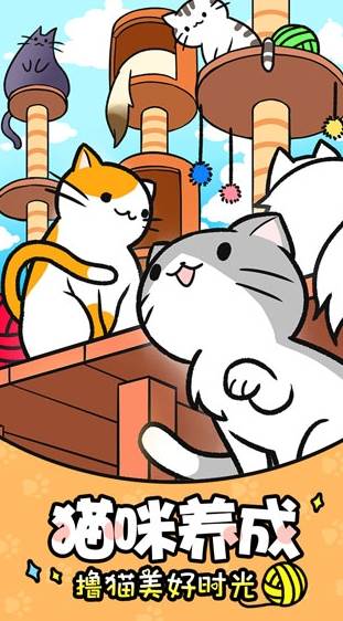猫咪公寓1
