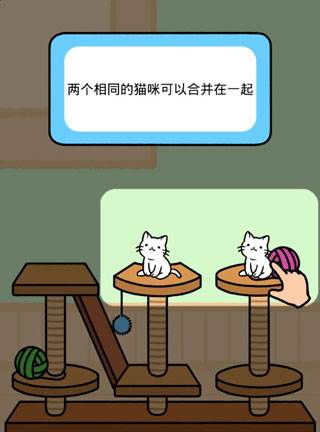 猫咪公寓3