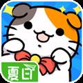 猫咪公寓 Cat Condo