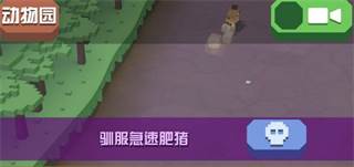 疯狂动物园小米版游戏截图21