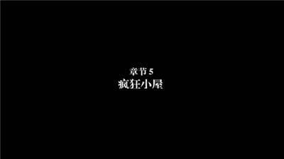 弗兰的悲惨之旅5游戏截图2