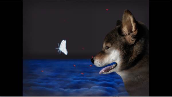 翌日波奇狗的历险记游戏安卓版安装 翌日波奇狗的历险记图片4