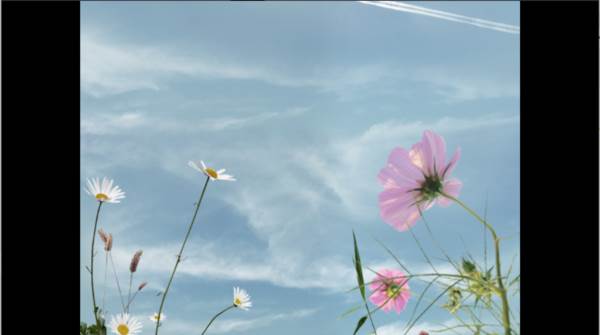 翌日波奇狗的历险记游戏安卓版安装 翌日波奇狗的历险记图片5