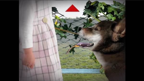 翌日波奇狗的历险记游戏安卓版安装 翌日波奇狗的历险记图片6