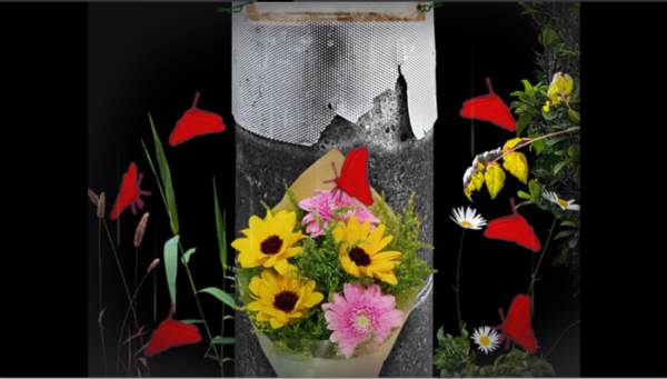 翌日波奇狗的历险记游戏安卓版安装 翌日波奇狗的历险记图片8