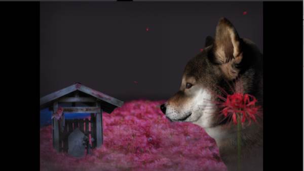 翌日波奇狗的历险记游戏安卓版安装 翌日波奇狗的历险记图片9