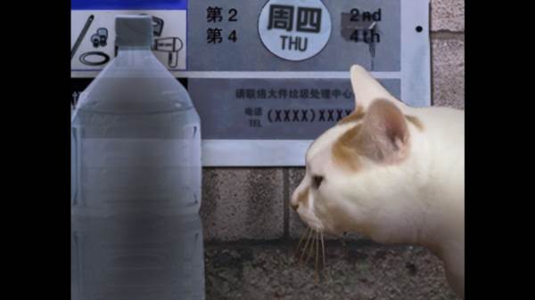 翌日猫之怪奇谭游戏图片1