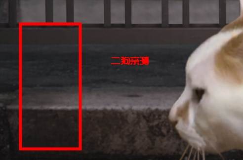 翌日猫之怪奇谭手机版 翌日猫之怪奇谭游戏图片2