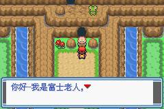 口袋妖怪永恒之炎6