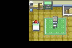 口袋妖怪永恒之炎7