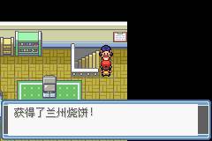 口袋妖怪永恒之炎9