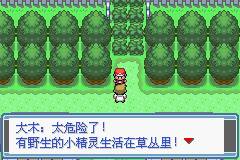 口袋妖怪永恒之炎11