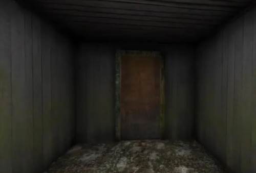 奶奶2直升机版14