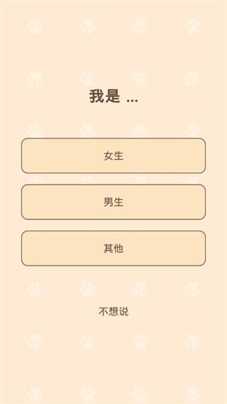 猫咪二重奏1