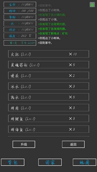 失落之地截图3