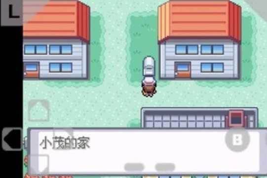 口袋妖怪火红游戏图片2