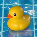 疗愈橡皮鸭模拟器 placid plastic duck simulator