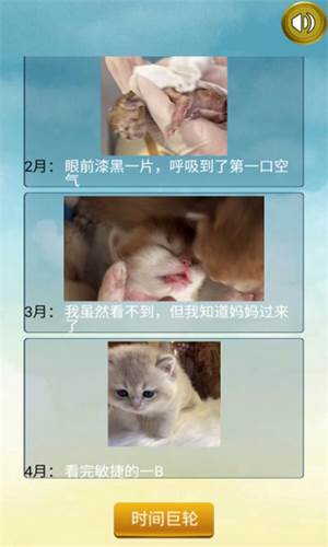 猫的一生重启模拟器图片