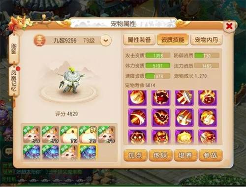 宠物推荐配图3