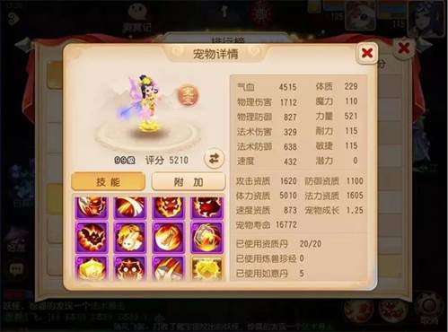 宠物推荐配图4