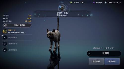 黑色沙漠宠物获取攻略10