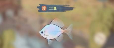 钓鱼玩法配图1