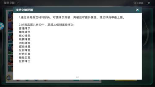 足球天才14