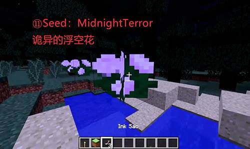 我的世界11