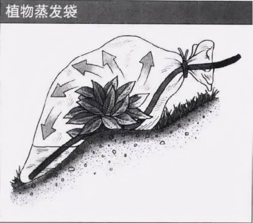 迷失蔚蓝百度版怎么找到干净水源4