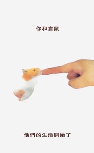 我的仓鼠游戏截图1