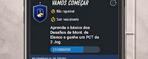 Companion FIFA231