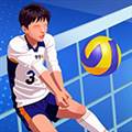 单挑排球去广告版 Volleyball Arena:All Star