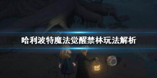 哈利波特魔法觉醒taptap版2