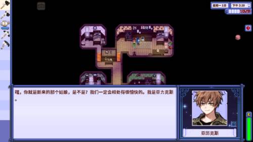 星露谷物语柠版美化版1