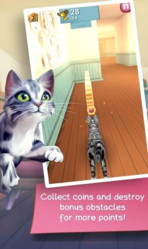 Cat Runner图片4