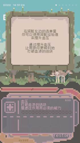 夕阳之夏图片6