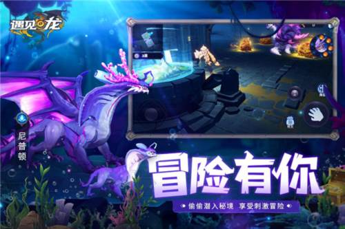 遇见龙返利版