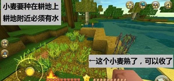迷你世界搜狗手机助手最新版游戏攻略7