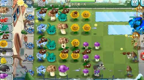 植物大战僵尸旅行版镜花水月游戏特色