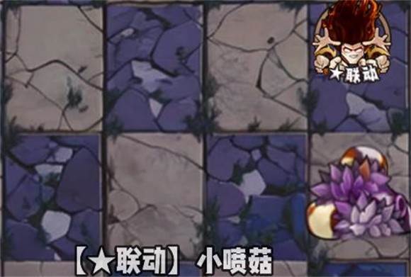 植物大战僵尸神奇植物版最新版图片11